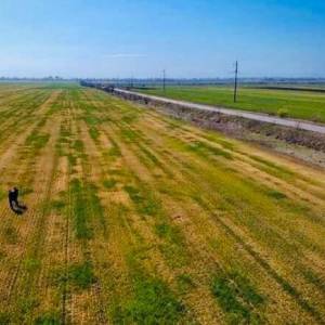 В Одесской области решают проблемы аграриев, пострадавших от засухи