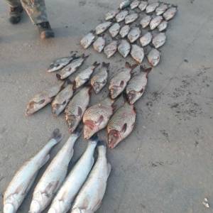 В Одесской области задержали браконьера с незаконным уловом