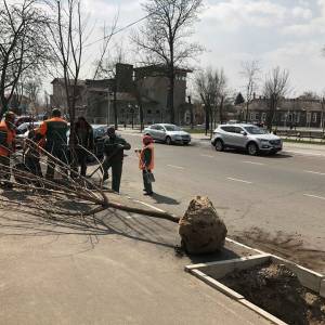 В Измаиле текущей осенью продолжится высадка деревьев в городе (ВИДЕО) - Город 24