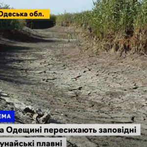 В Одесской области пересыхают знаменитые Дунайские плавни (видео)