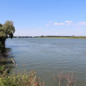 Угроза подтопления: что будет с защитными дамбами на Дунае?