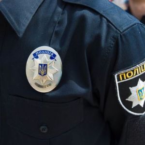 Криминальная сводка полиции Измаила: украли посуду, козу и телефон