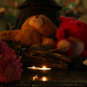 Трагедия в лагере "Виктория": найдено тело третьей погибшей в пожаре девочки
