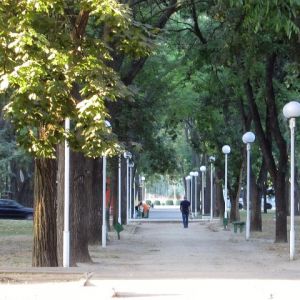 В канун дня города вандалы разрушили систему уличного освещения в Измаиле