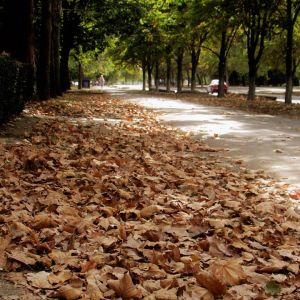 Погода в Измаиле сегодня, 26 сентября