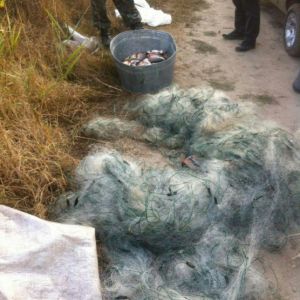 На Ялпуге сегодня задержали браконьера с поличным