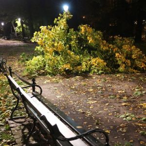 В Польше в результате урагана ранены 39 человек, двое погибли