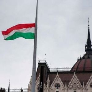Венгры митинговали за "самоопределение" Закарпатья
