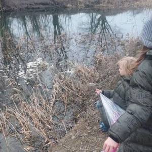 На Одещині фіксують масову загибель лебедів: фахівці з’ясовують причину