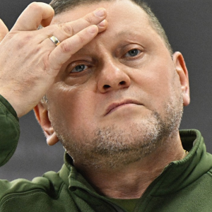 «Це політичний трансфер року». Валерій Залужний стане послом у Великій Британії