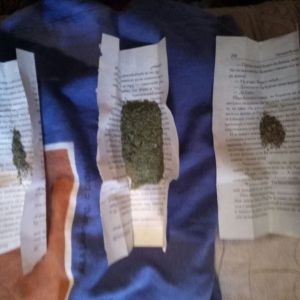 Правоохранители Рени повторно изъяли у мужчины полкило марихуаны
