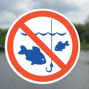 На Одещині стартувала заборона на вилов риби