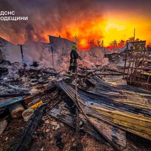 У передмісті Одеси під час пожежі загинуло стадо свиней