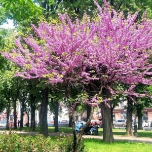 Стане прохолодніше: яка погода буде в Одесі наступного тижня