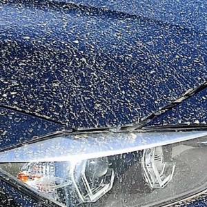 В Ізмаїлі вночі пройшов дощ з піском із Сахари