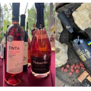 Торгова марка Villa Tinta з Болградщини отримала винагороду конкурсу виноробів «Wine&Spirits Show 2024»