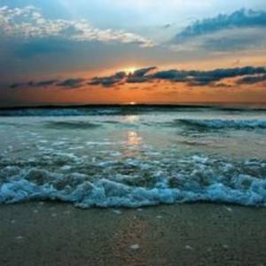 В Одесі обговорили вплив війни на стан Чорного моря