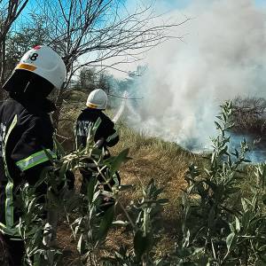Ізмаїльські гвардійці ліквідували масштабну пожежу