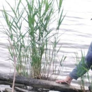 На березі Дунаю в Одеській області знайшли фрагменти старовинного корабля