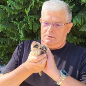 В одеському зоопарку виходжують пташеня боривітра, якого знайшли в Ізмаїлі