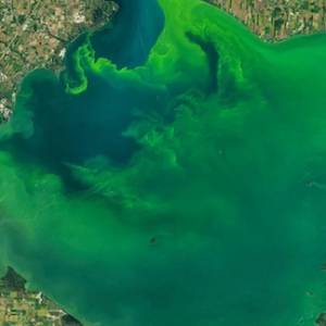В Одесі вода в морі почала світитися яскраво-блакитним кольором