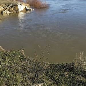 В Ізмаїльському районі розглядають можливість відновлення берегозахисних споруд