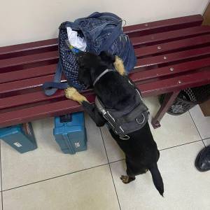 На пункті пропуску в Ізмаїльському районі митники виявили канабіс у жінок, які прямували до закордонних курортів