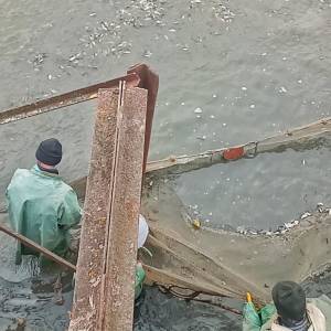 В Ізмаїльському районі зарибили озеро Катлабух