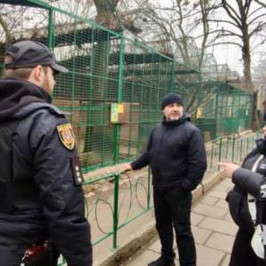 Леопард напав на співробітника одеського зоопарку: чоловік живий, але у важкому стані