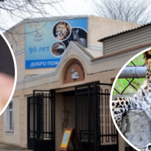 Убивство леопарда в одеському зоопарку: зоозахисники знайшли нестиковки у фактах і вимагають розслідування
