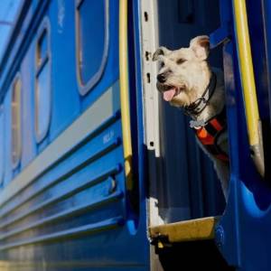 “Укрзалізниця” прискорює поїзди на одеському напрямку