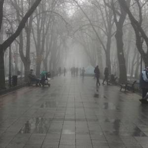 На Одещині штормове попередження через густий туман