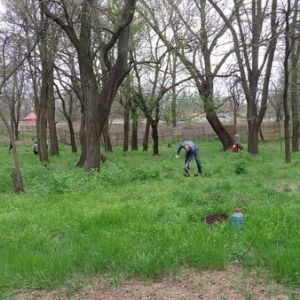 В Измаиле приступят к расчистке Гагаринского парка и устройству ливнестока по ул. Михайловской