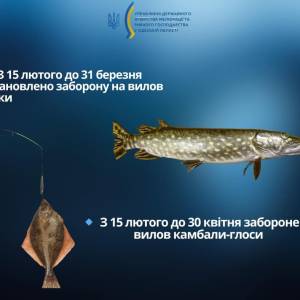 На Одещині заборонять вилов щуки і камбали-глоси