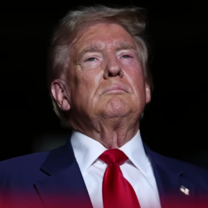 Трамп анонсировал разговор с Зеленским на этой неделе