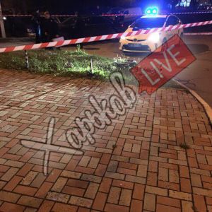 В Харькове ночью киллер расстрелял из автомата авто (ФОТО)