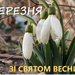 Вітання Ізмаїльського міського голови Андрія Абрамченка з  Міжнародним жіночим днем!