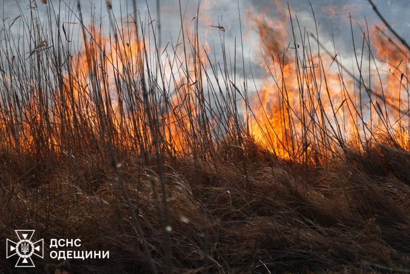 На Одещині палають понад 10 гектарів плавнів На Одещині палають понад 10 гектарів плавнів
