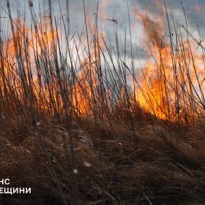 На Одещині палають понад 10 гектарів плавнів