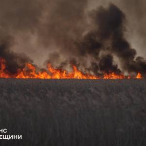 Зранку рятувальникам вдалося загасити масштабне загорання плавнів в Одеському районі