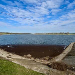На Одещині висихання водосховища загрожує агровиробництву: у чому проблема