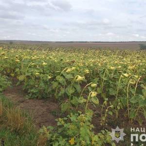 За самовільне захоплення землі – до суду