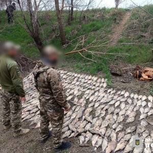 На Одещині браконьер наловив у річці Турунчук риби на більш ніж 600 тис грн