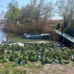 На озері Кагул в Ізмаїльському районі встановили 250 нерестових гнізд для судака