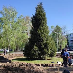 В центрі Ізмаїла розпочали роботи з облаштування Алеї Слави