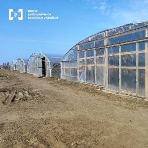 На Одещині викрили 16 нелегальних теплиць з вирощування тютюну