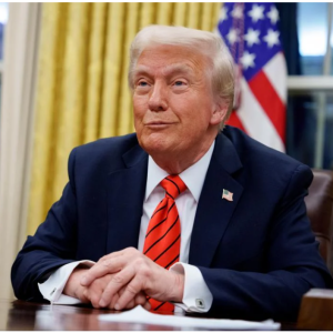 Трамп розглядає візит до Стамбула, де відбудеться зустріч України та рф