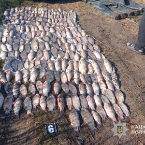 На Одещині браконьєри наловили риби на 700 тисяч гривень