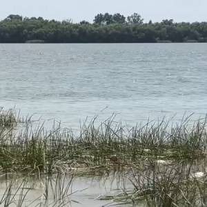 В Дунаї та місцевих озерах на Одещині катастрофічно падає рівень води