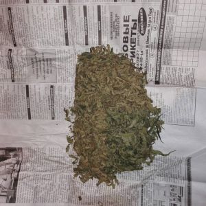 Килийские правоохранители разоблачили нарколюбителя (ФОТО)